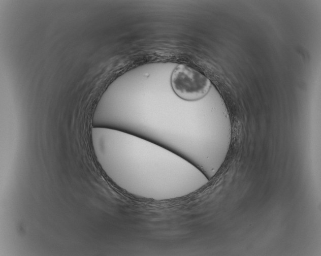 X0000114191009200910091023