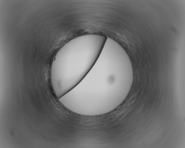 X0000114191012200910091023