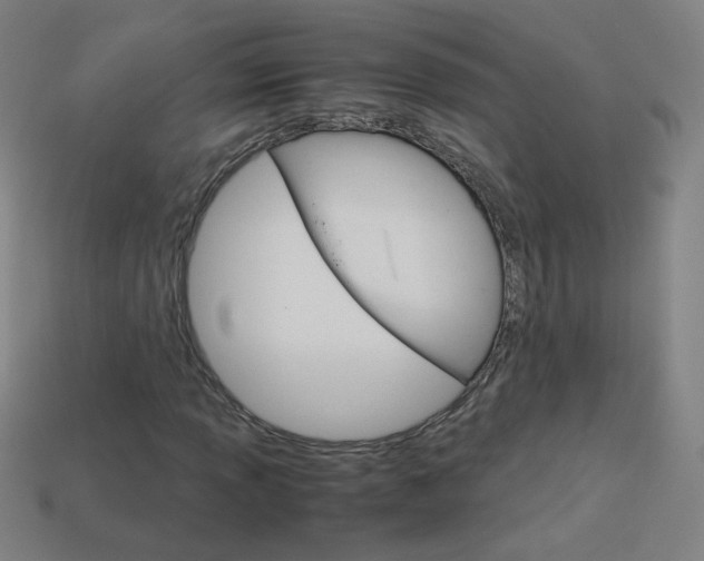 X0000114191013200910091023