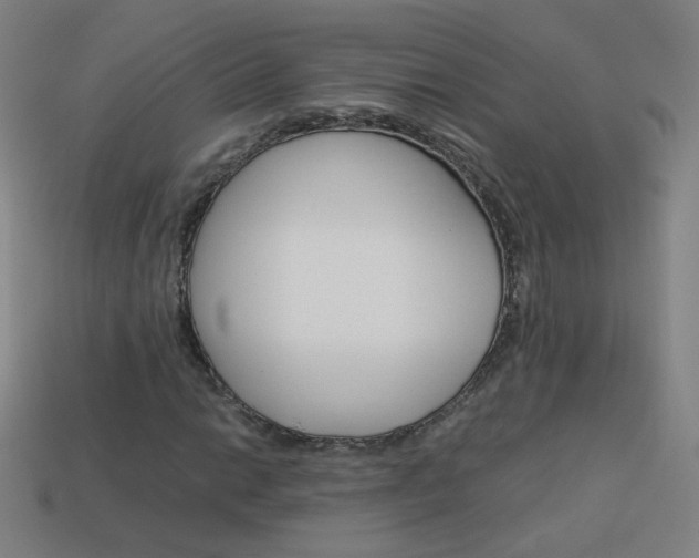 X0000114191014200910091023