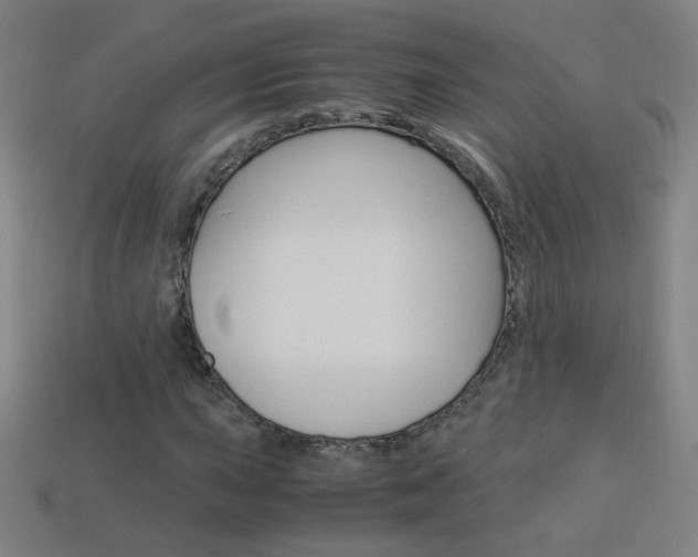 X0000114191015200910091024