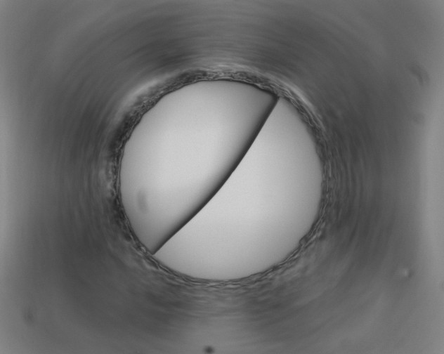 X0000114191016200910091024