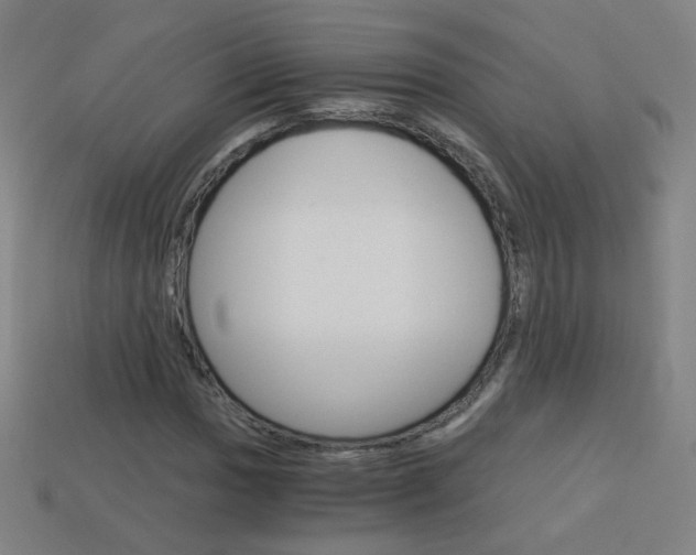 X0000114191017200910091024