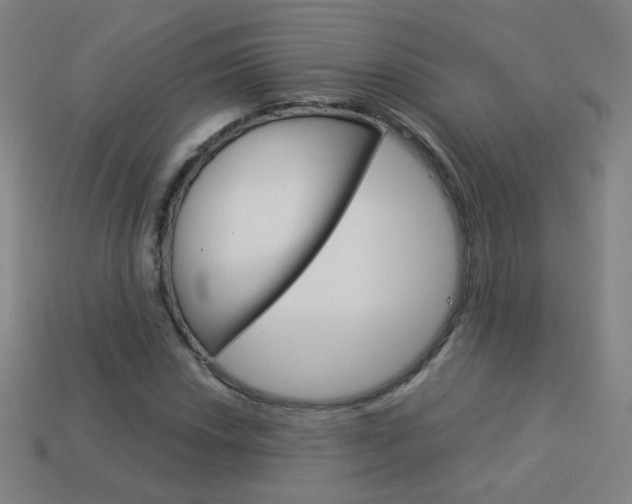 X0000114191018200910091024