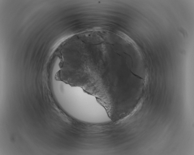 X0000114191019200910091024