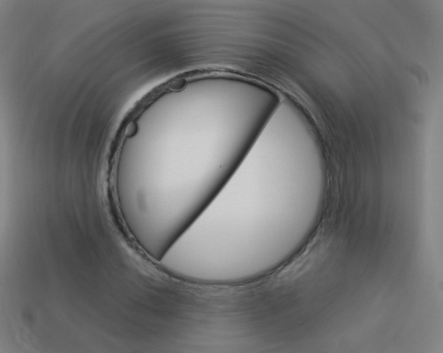 X0000114191020200910091024