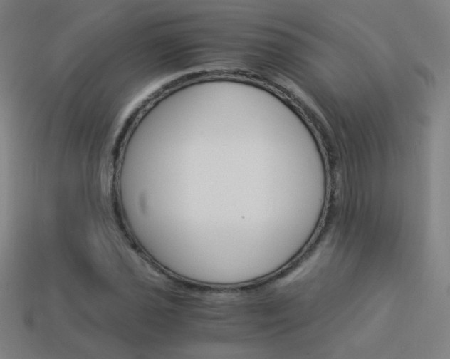 X0000114191021200910091024
