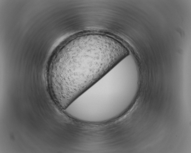 X0000114191022200910091024