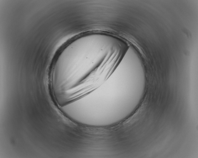 X0000114191024200910091024