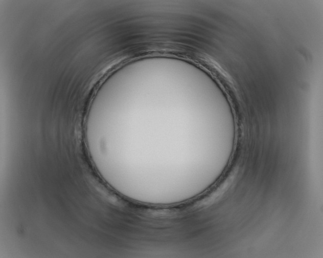 X0000114191025200910091024