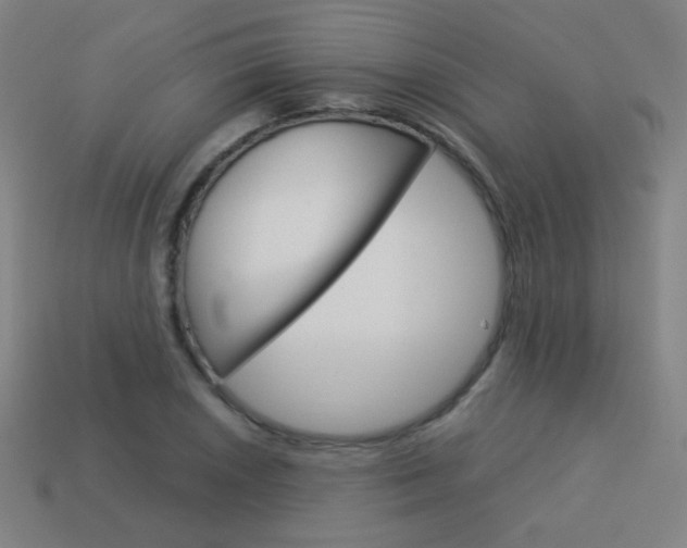 X0000114191026200910091024