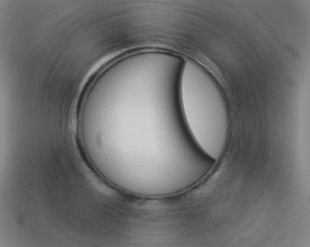 X0000114191028200910091024