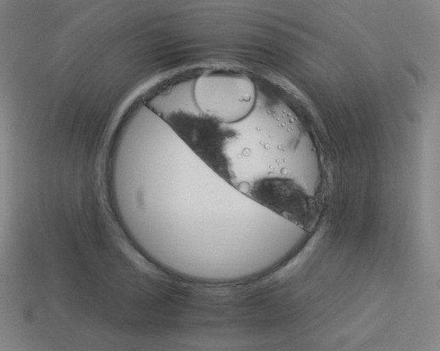 X0000114191029200910091024