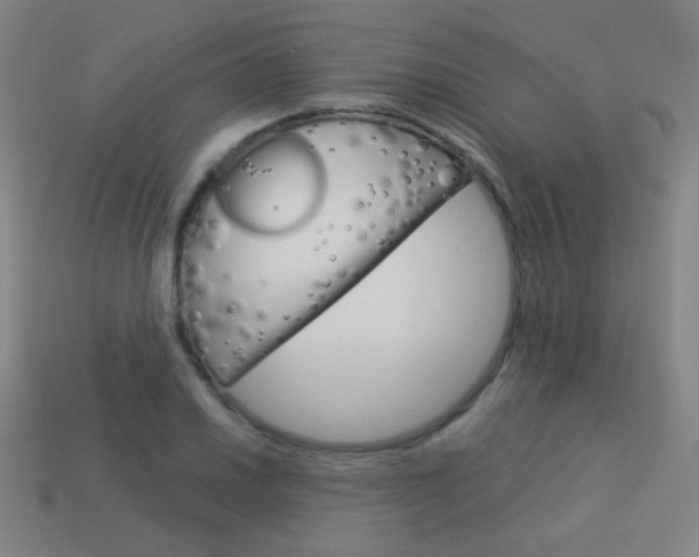 X0000114191030200910091024