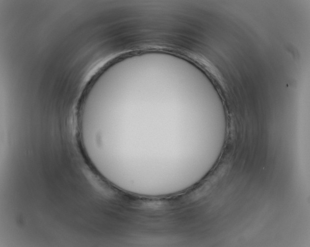X0000114191031200910091024