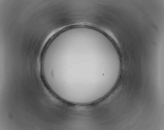 X0000114191032200910091024