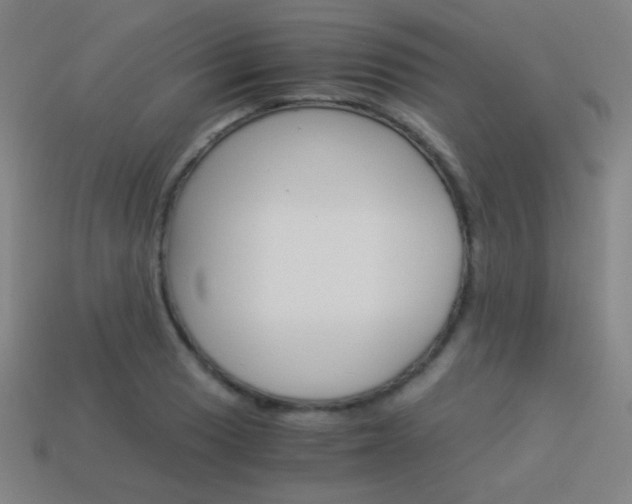 X0000114191033200910091024