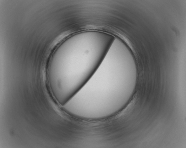 X0000114191034200910091024