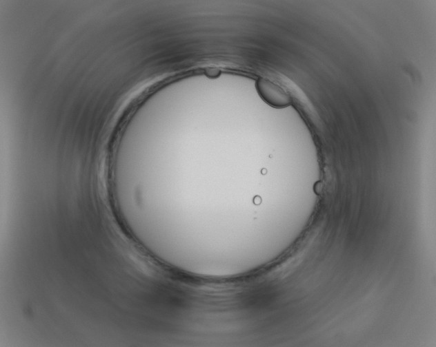 X0000114191035200910091024