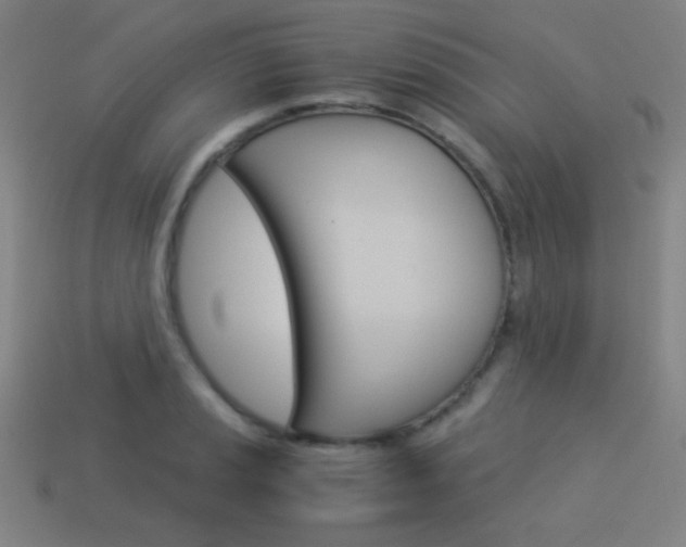 X0000114191037200910091024