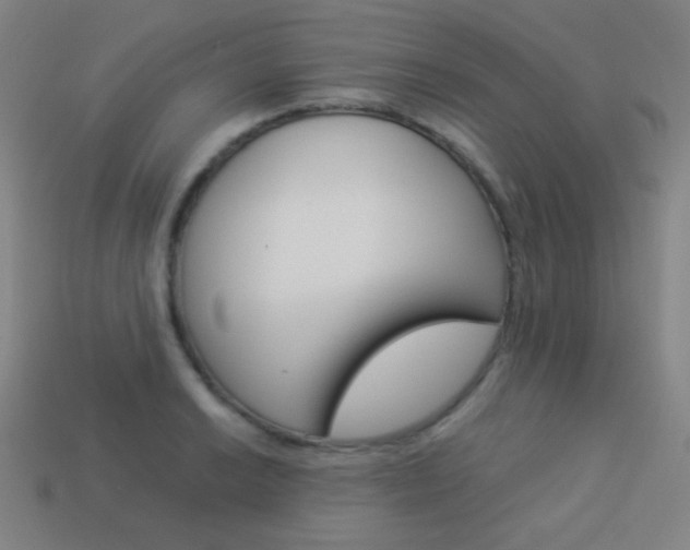 X0000114191038200910091024