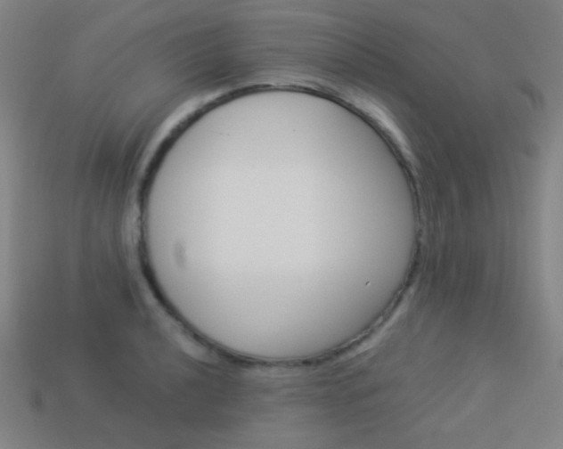 X0000114191040200910091024