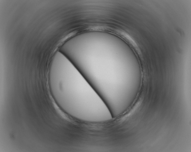 X0000114191041200910091024