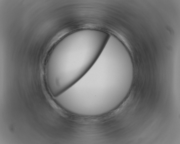 X0000114191042200910091024