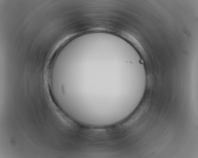 X0000114191043200910091024