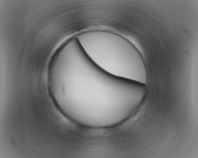 X0000114191046200910091024