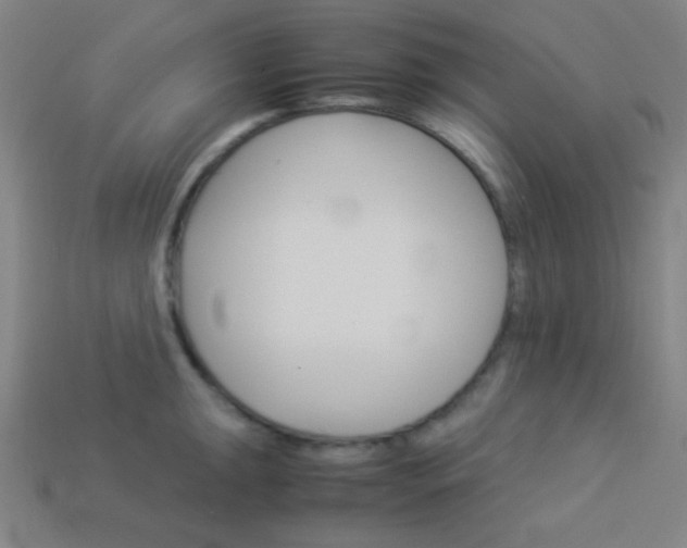 X0000114191047200910091024