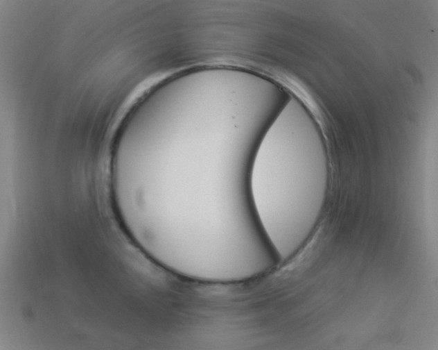 X0000114191048200910091024