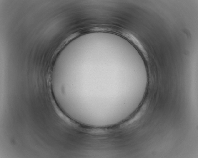 X0000114191049200910091024