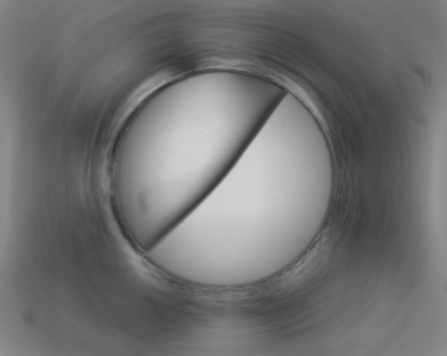 X0000114191050200910091024