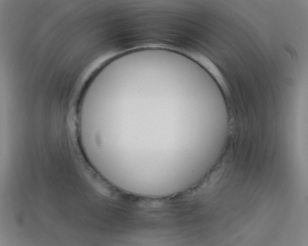 X0000114191051200910091024