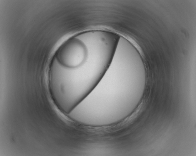 X0000114191054200910091024