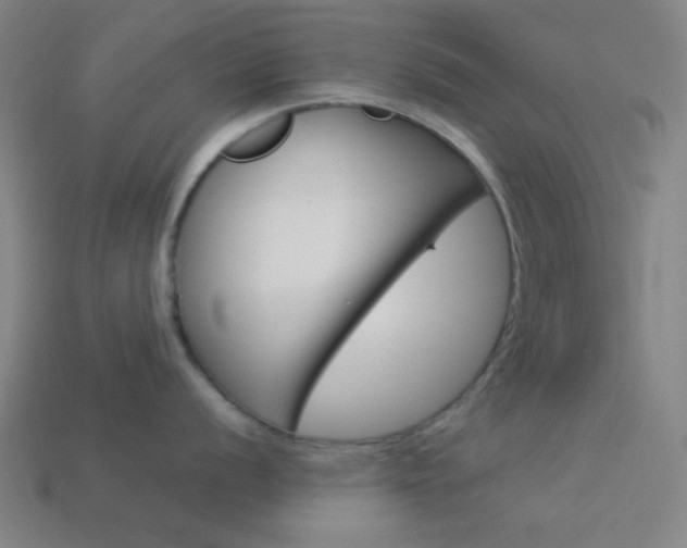 X0000114191056200910091024