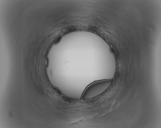 X0000114191057200910091023