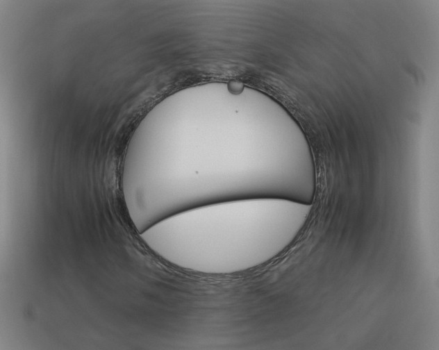 X0000114191058200910091023