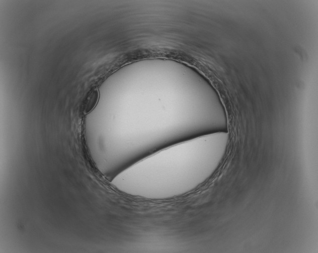 X0000114191061200910091023