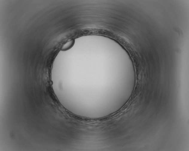 X0000114191062200910091023