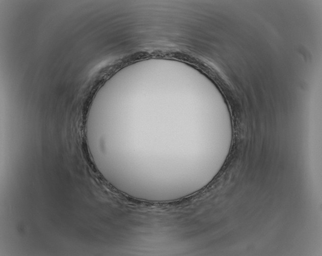 X0000114191063200910091023