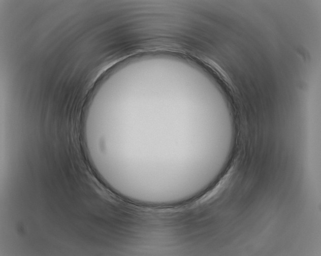 X0000114191065200910091023