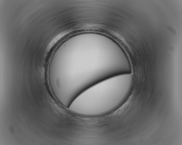 X0000114191066200910091023