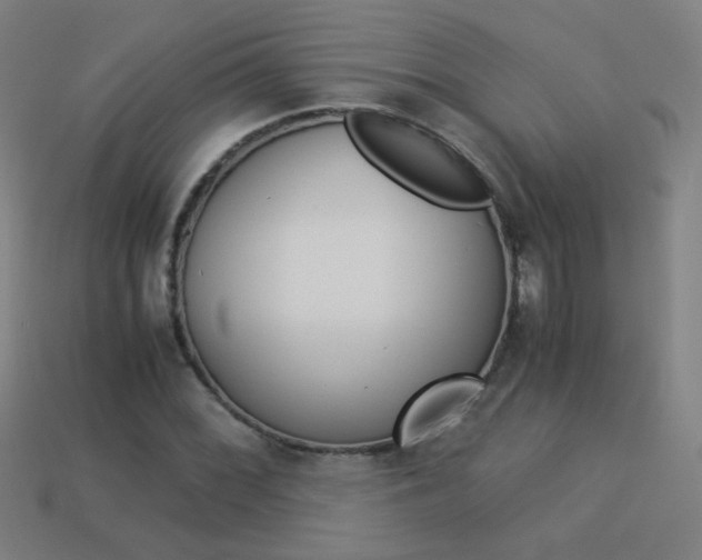 X0000114191068200910091023