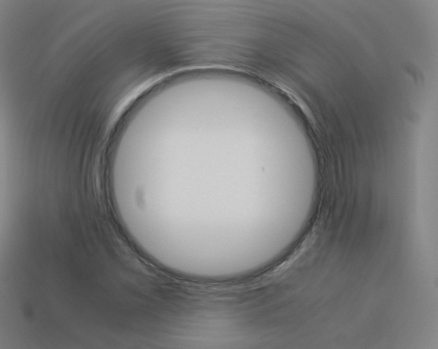X0000114191069200910091023