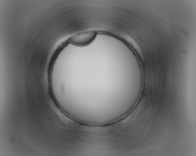X0000114191072200910091023