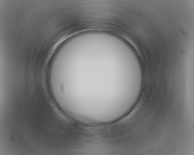 X0000114191075200910091023
