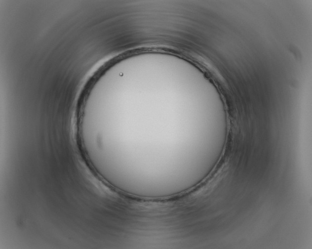 X0000114191076200910091023
