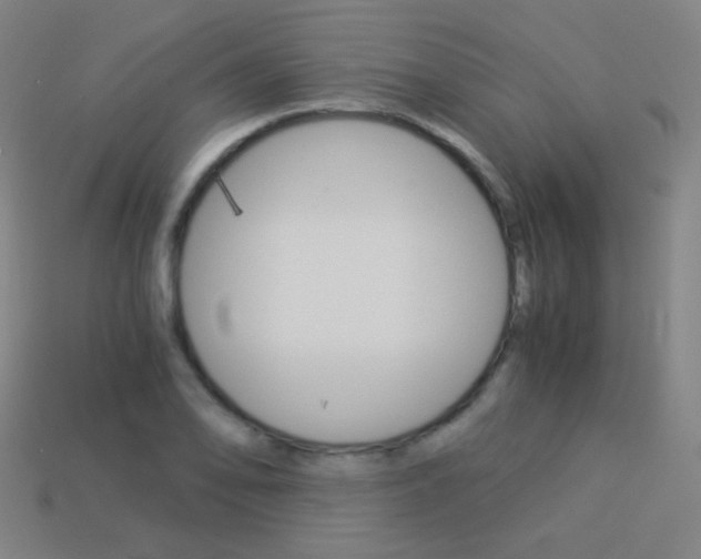 X0000114191078200910091023